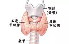 甲状腺结节的主要症状和发生原因 疾病常识 北京预约挂号平台 耳鼻喉科皮肤科骨科免费预约挂号 灯塔医生 优质的医生资源库